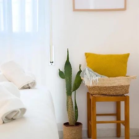 El Gato Gris * Conil De La Frontera