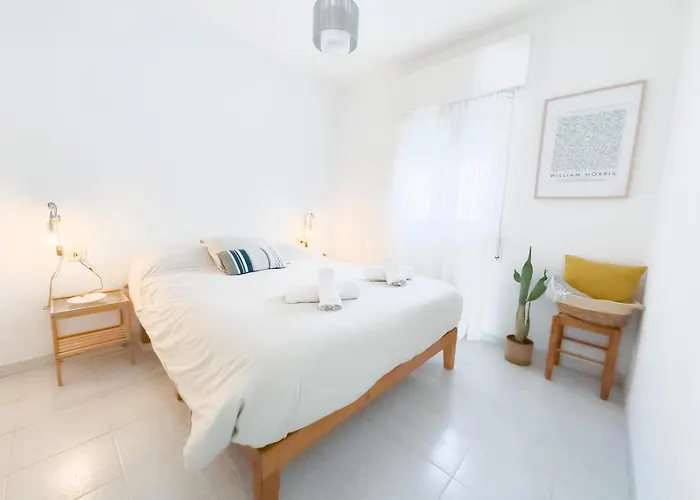 El Gato Gris * كونيل ذي لا فرونتيرا