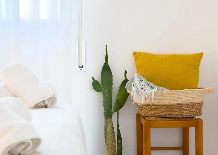 El Gato Gris * 科尼尔-德拉弗龙特拉