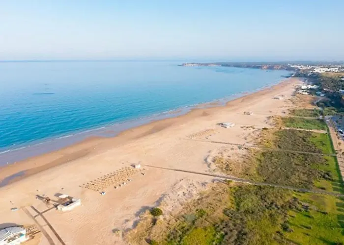 El Gato Gris * Conil De La Frontera